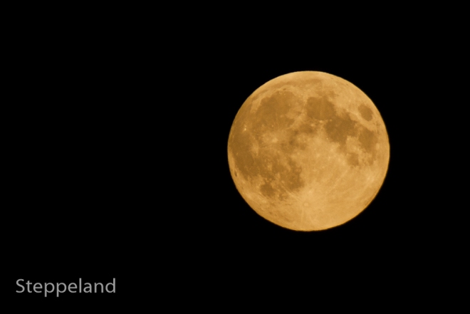 Full moon, photographed on sept. 8, 2014