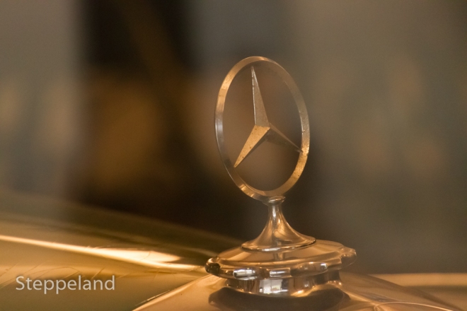 Mercedes-Benz emblem on a car in one of the carriage houses