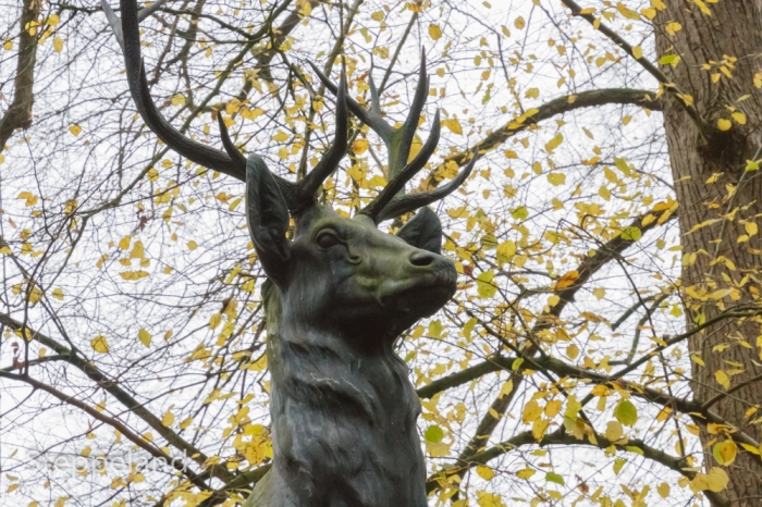 Head of the deer statue in profile